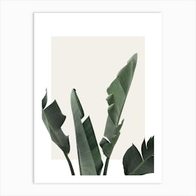 Green Plant Art Print