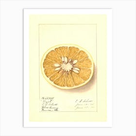 Orange Slice 2 Art Print