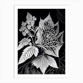 Viburnum Leaf Linocut Art Print