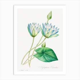 Egyptian Lotus, Pierre Joseph Redouté Art Print