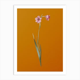 Vintage Sword Lily Botanical on Sunset Orange n.0464 Art Print