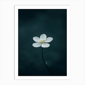 Single Flower 6 Art Print