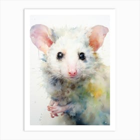 Light Watercolor Painting Of A Urban Possum 1 Art Print