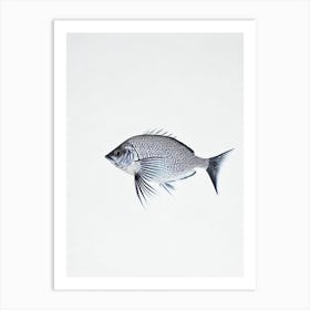 Tang Fish Black & White Drawing Art Print