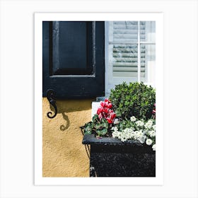 Flower Box III Art Print