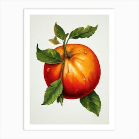 Pomegranate 2 Art Print