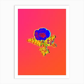 Neon White Burnet Rose Botanical in Hot Pink and Electric Blue n.0350 Art Print