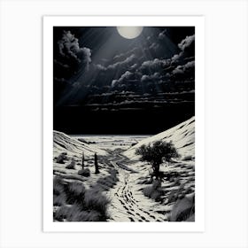 Moonlight In The Desert Art Print