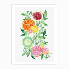 Citrus Fruit Art Print