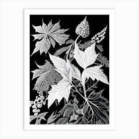 Elderberry Leaf Linocut 1 Art Print