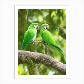 Green Junggle Parakeets Art Print