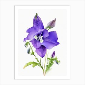 Bellflower Wildflower Watercolour 2 Art Print