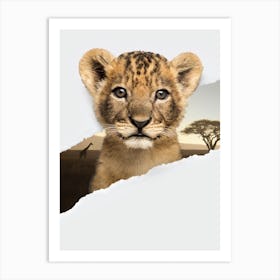 Lion Cub Torn Paper Art Print