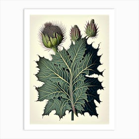 Burdock Herb Vintage Botanical Art Print