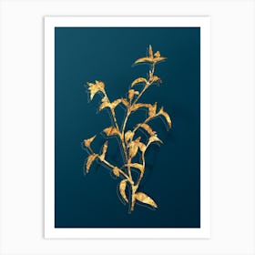 Vintage Commelina Africana Botanical in Gold on Teal Blue n.0155 Art Print