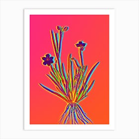 Neon Yellow Eyed Grass Botanical in Hot Pink and Electric Blue n.0249 Art Print