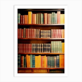 Library Bookshelf Art Print