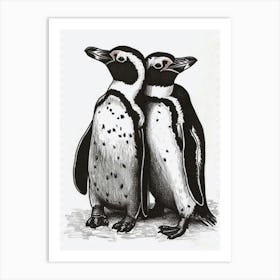 African Penguin Huddling For Warmth 1 Art Print