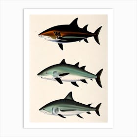 Reef Shark Vintage Poster Art Print