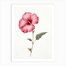 Hibiscus Flower Vintage Botanical 0 Art Print