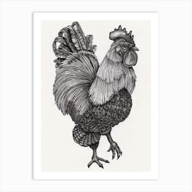 Rooster in Black and White Ink Art Print