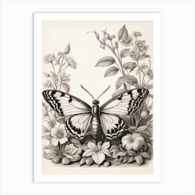 Butterfly And Flowers 1 Art Print