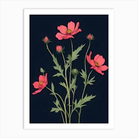 Pink Cosmos 2 Art Print