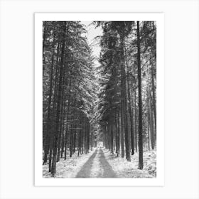 Snow Road In The Woods Forest Art Print