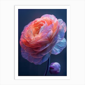 Peony 2 Art Print