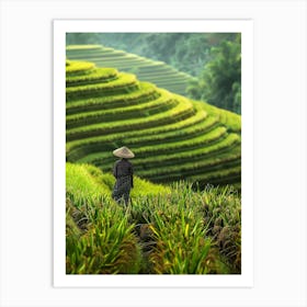 Rice Terraces In Vietnam 3 Art Print