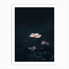 Flower In The Dark 46 Art Print