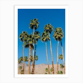 Palm Springs Palms IV Art Print