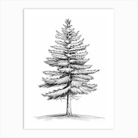 Spruce Tree Minimalistic Drawing 1 Art Print