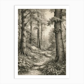 Path In The Woods 10 Art Print