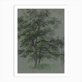 Two Oak Trees Art Print