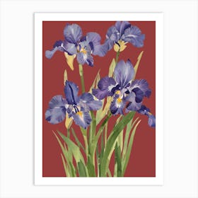 Iris Painting 2 Art Print