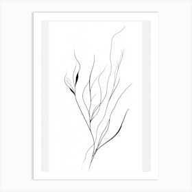 Black And White Drawing Of A Plant 2 Art Print