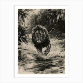 African Lion Charcoal Drawing Crossing A River 4 Art Print