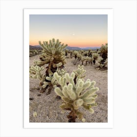 Cholla Cactus Garden at Sunset, Joshua Tree National Park 1 - Vertical Art Print