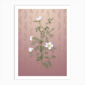 Vintage Hedge Rose Botanical on Dusty Pink Pattern n.0813 Art Print