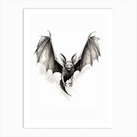 Big Free Tailed Bat Vintage Illustration 4 Art Print