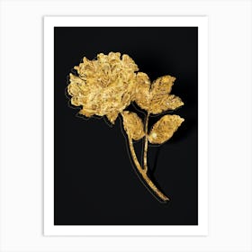 Vintage Tree Peony Botanical in Gold on Black n.0231 Art Print