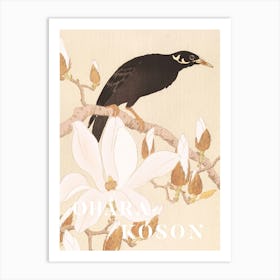 Myna on a Magnolia by Ohara Koson Art Print