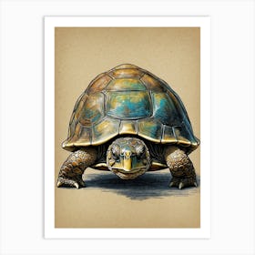 Turtle Print Art Print