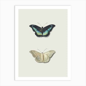 Butterflies Farmhouse Art Print
