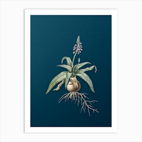 Vintage Lachenalia Lanceaefolia Botanical Art on Teal Blue n.0170 Art Print