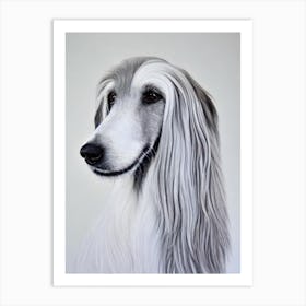 Afghan Hound B&W Pencil Dog Art Print