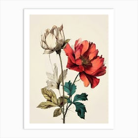 Three Flowers Art Print