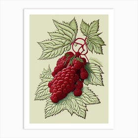 Red Raspberry Herb William Morris Inspired Line Drawing 2 Art Print