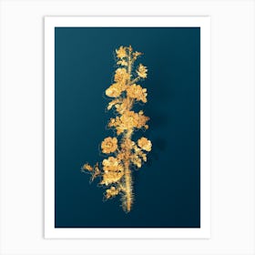 Vintage Scotch Rose Bloom Botanical in Gold on Teal Blue n.0250 Art Print